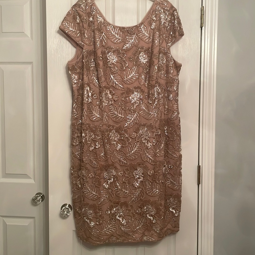 Brand new with tags Alex evening size 22W Dusty rose with sequins